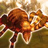 星空视频影视大全免费观看破解版
